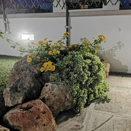 Guest house House