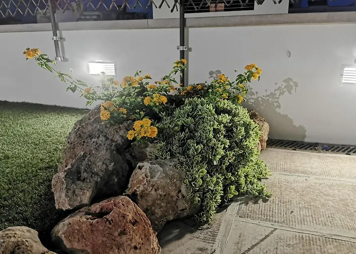 بيت ضيافة House